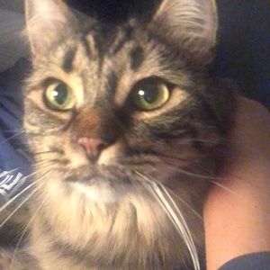 Meet your Posher, Lisa